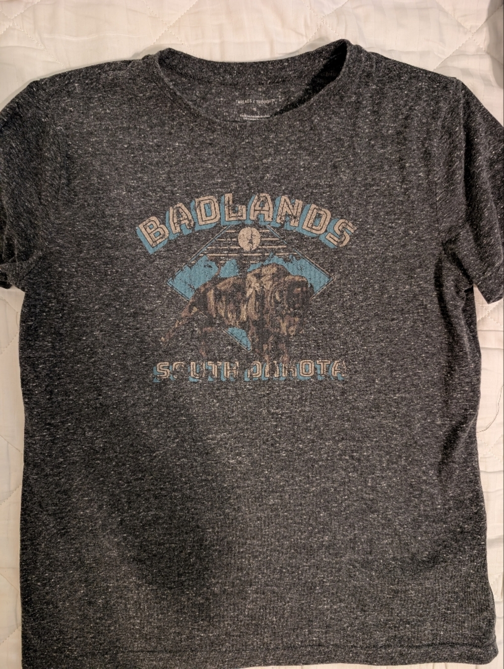 Threads 4 Thought Charcoal Tee with Blue Badlands Graphic
